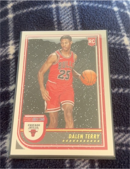 2022-23 Panini NBA Hoops #248 Dalen Terry RC Chicago Bulls — front