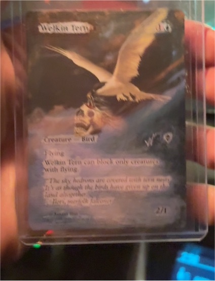 1994 Magic: The Gathering #19 Weikin Tern — front