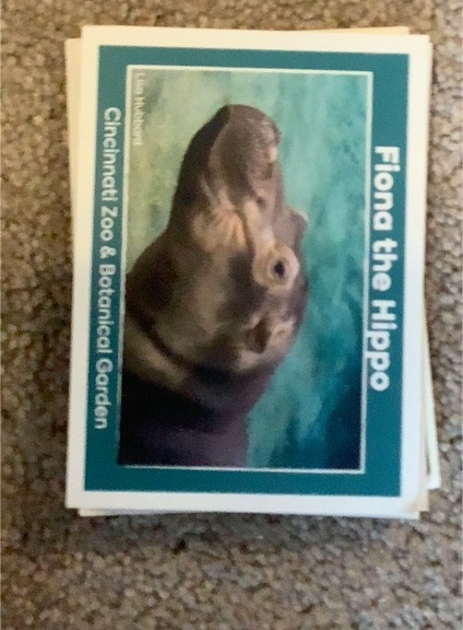 Fiona the Hippo Cincinnati Zoo & Botanical Garden Card — front