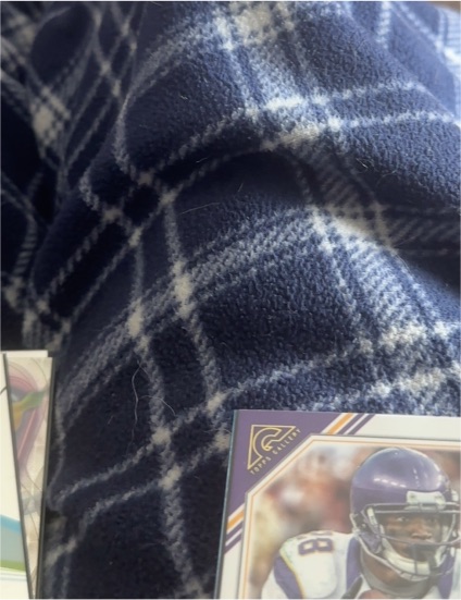 2023 Topps Composite - Topps Gallery #384 Minnesota Vikings Player — front