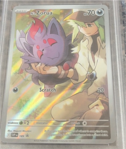 2025 Pokémon #189 N's Zorua — front