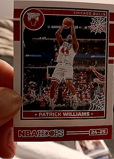 2024-25 Panini Haunted Hoops #18 Patrick Williams — front