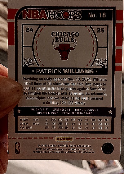 2024-25 Panini Haunted Hoops #18 Patrick Williams — back