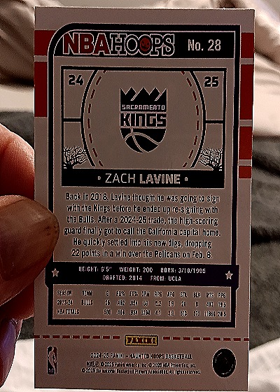 2024-25 Panini NBA Hoops Haunted Hoops #28 Zach LaVine — back