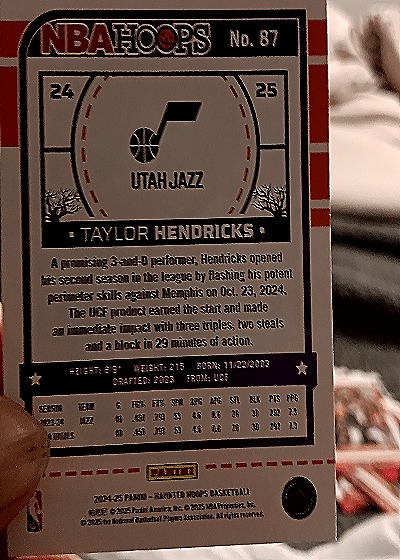 2024-25 Panini NBA Hoops Haunted Hoops #87 Taylor Hendricks — back