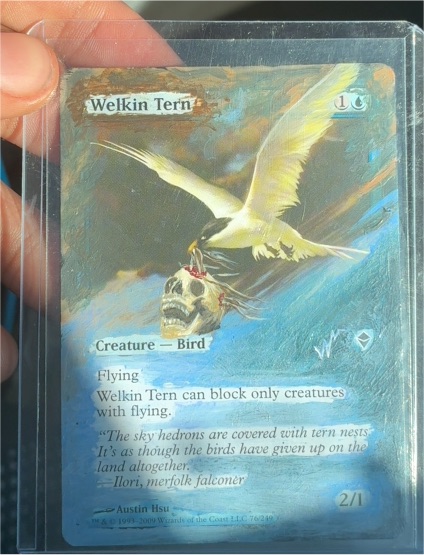 1999 Magic: The Gathering #70 Welkin Tern — front