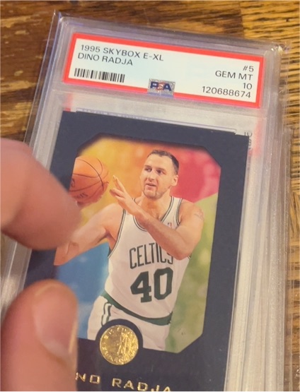 1995 Skybox E-XL #5 Dino Radja — front