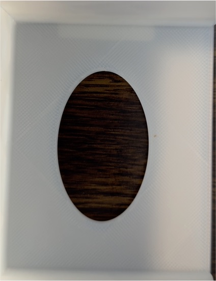 Vintage Celluloid Oval Picture Frame — front