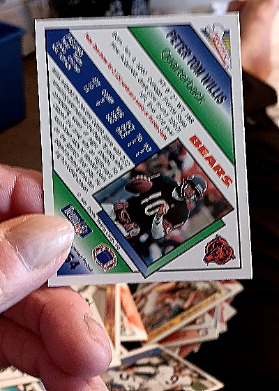 1991 Pacific #54 Peter Tom Willis — back