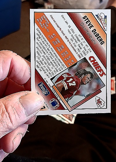 1991 Pacific #17 Steve DeBerg — back