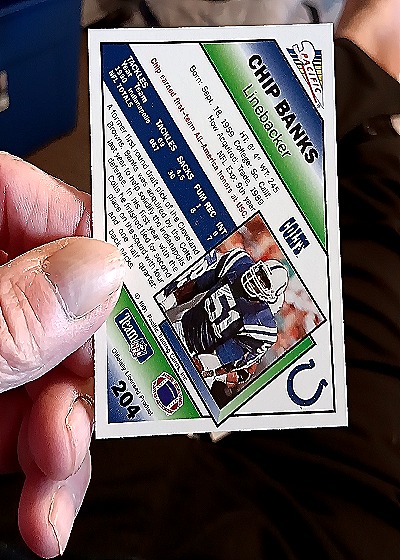 1991 Pacific #204 Chip Banks — back