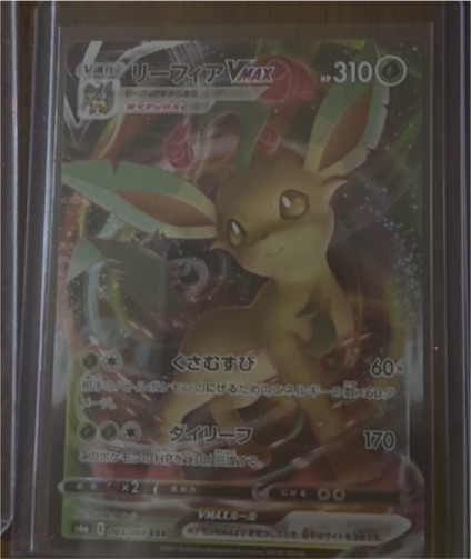 Leafeon VMAX 003/069 Eevee Heroes — front