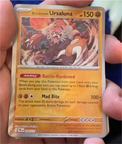 2025 Pokémon #054 Ursaluna — front