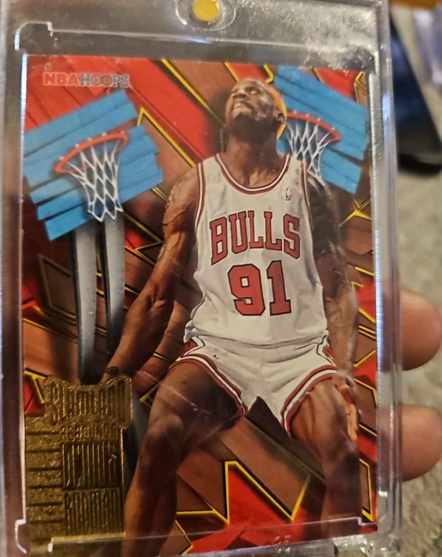 1995-96 SkyBox NBA Hoops Slamland #SL8 Dennis Rodman — front