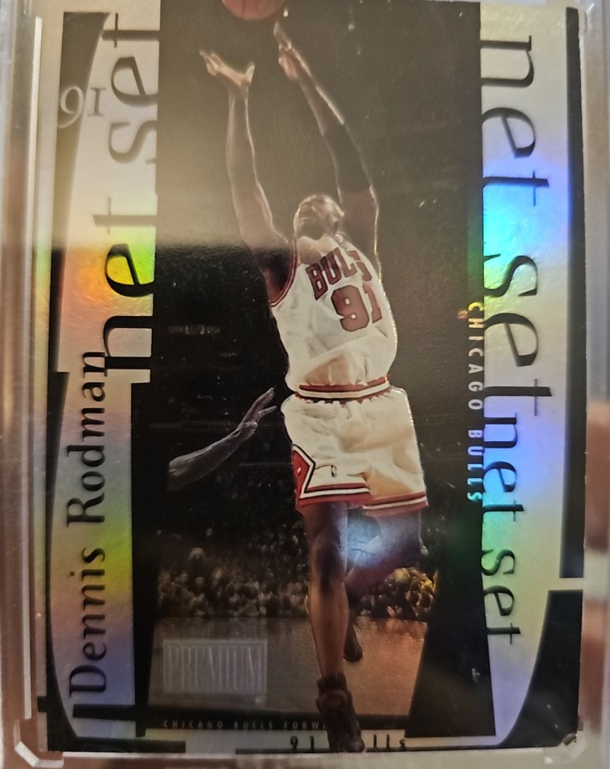 1998-99 SkyBox Premium Net Set #6NS Dennis Rodman Chicago Bulls — front