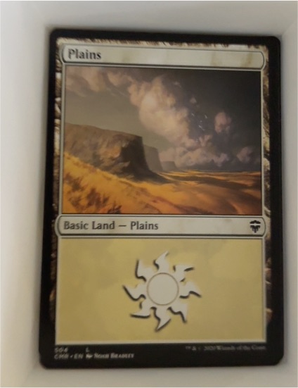 2007 Magic: The Gathering #504 Plains — front