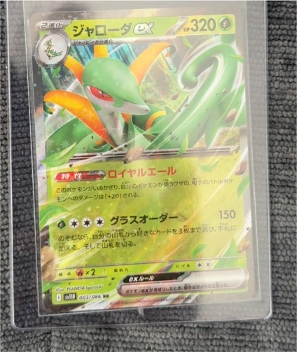 Serperior ex 003/086 Black Bolt — front