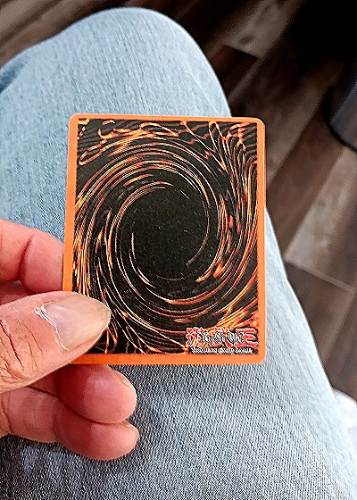 2011 Yu-Gi-Oh! HOFY-EN041 Brotherhood of the Fire Fist - Panther — back