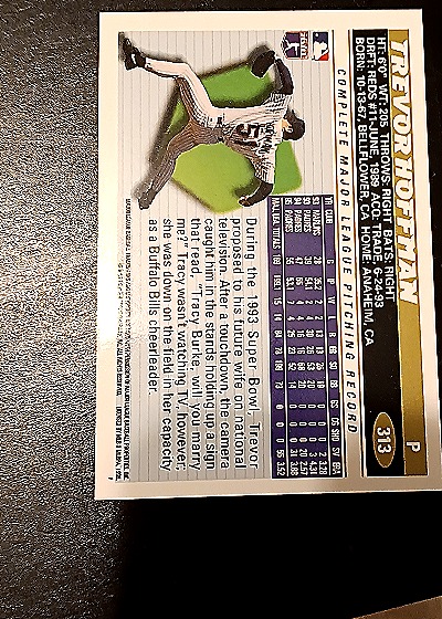 1996 Topps #313 Trevor Hoffman — back