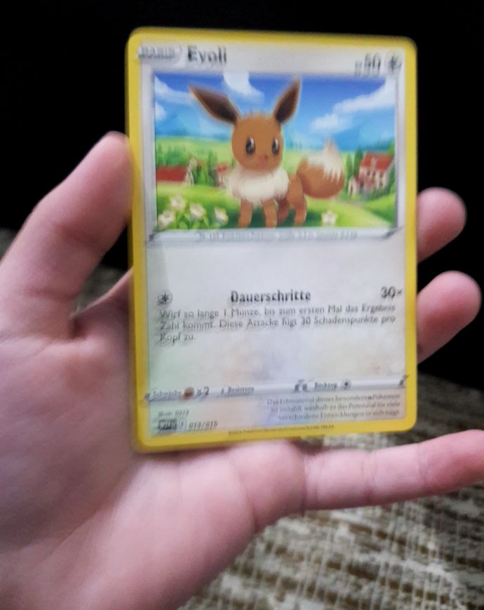 2025 Pokémon #013 Evoli — front