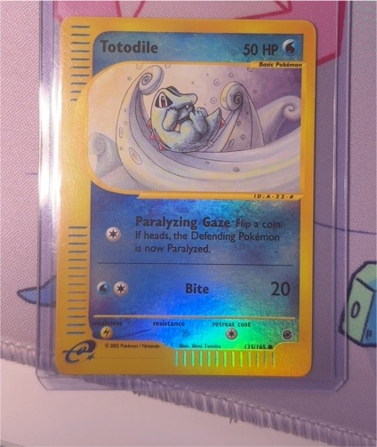 2002 Expedition #135 Totodile — front