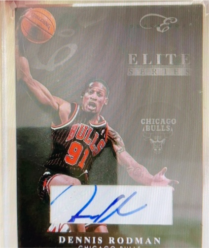 1996 Elite Series #91 Dennis Rodman — front