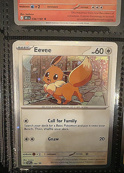 2025 Black Star Promo #200 Eevee — front