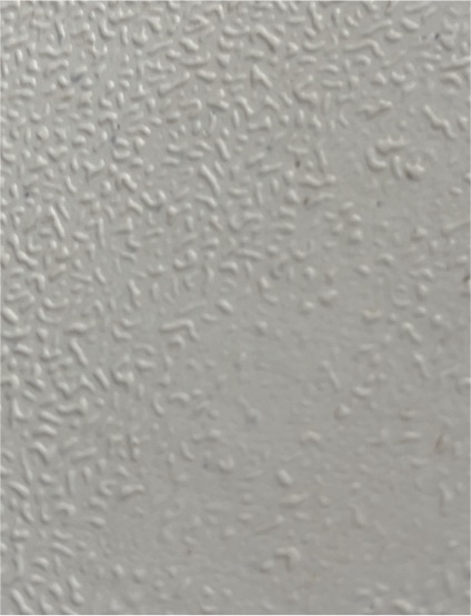 80/20 Loop Carpet — front