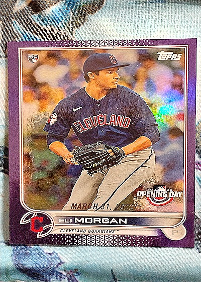 2022 Topps Opening Day #170 Eli Morgan — front