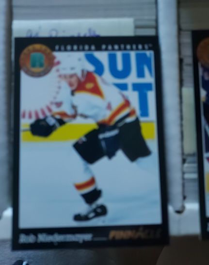 1993-94 Pinnacle #439 Rob Niedermayer Rookie Card Florida Panthers — front