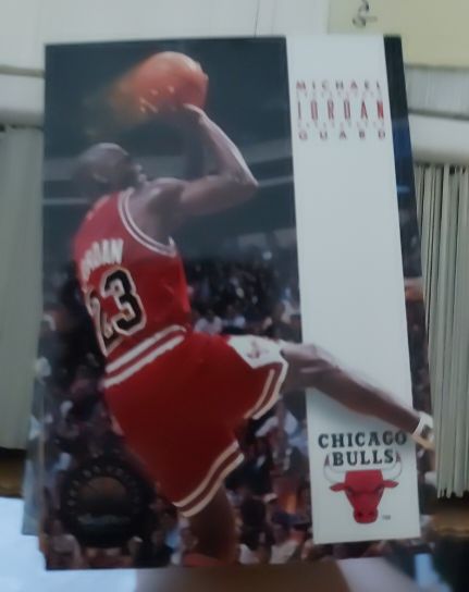 1993-94 SkyBox Premium #45 Michael Jordan Chicago Bulls — front