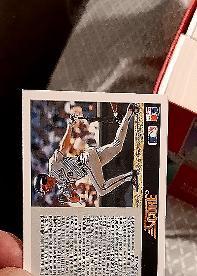 1992 Score #794 Cal Ripken Jr. Man of the Year — back
