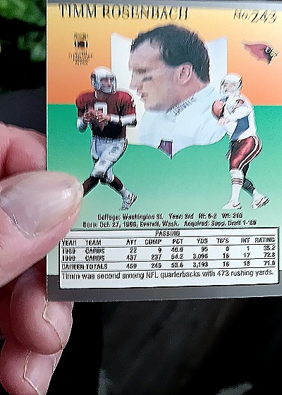 1991 Fleer Ultra #243 Timm Rosenbach — back