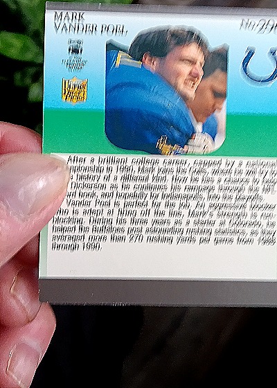 1991 Fleer Ultra Draft Picks #299 Mark Vander Poel — back