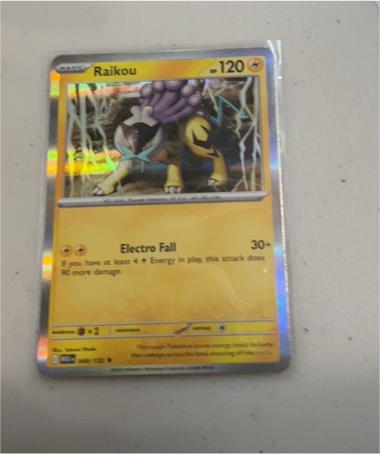 2023 Pokemon Scarlet & Violet Mega Evolution #048 Raikou — front