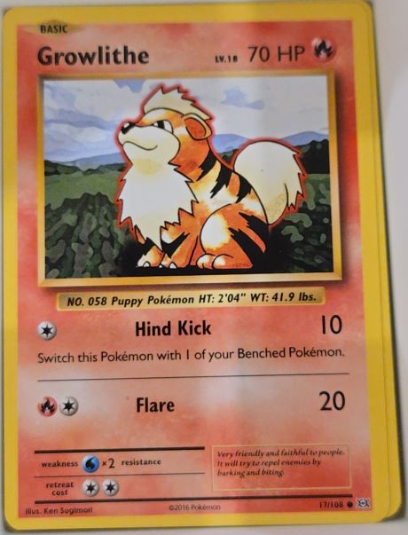 2016 Pokemon XY Evolutions #17 Growlithe — front