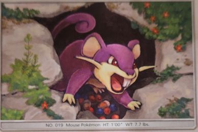 1999 Pokémon #019 Rattata — front