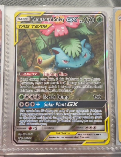 2019 Pokémon TCG SM229 Venusaur & Snivy GX Black Star Promo — front