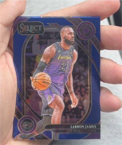 2024-25 Panini Select #241 LeBron James — front