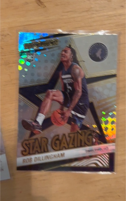 2024-25 Panini Revolution #17 Rob Dillingham Star Gazing — front