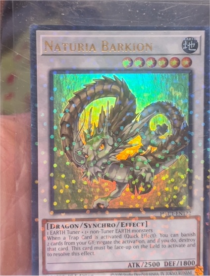 Yu-Gi-Oh! Naturia Barkion PGL2-EN087 — front