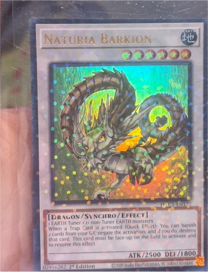 2020 Yu-Gi-Oh! RA03-EN243 Naturia Barkion — front