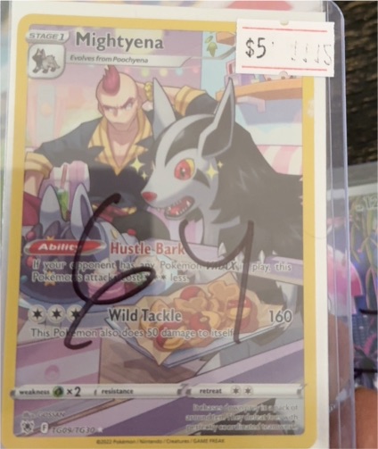 2022 Pokémon Astral Radiance Trainer Gallery #TG09/TG30 Mightyena — front