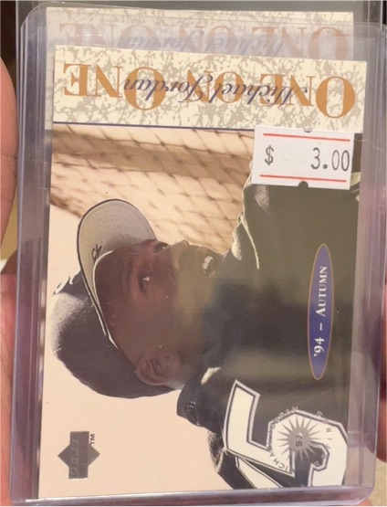 1995 Upper Deck Minor League #9 Michael Jordan One On One '94 Autumn — front