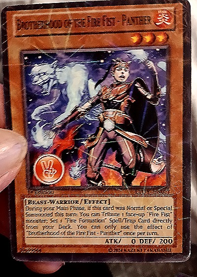 2011 Yu-Gi-Oh! LTGY-EN019 Brotherhood of the Fire Fist - Panther — front