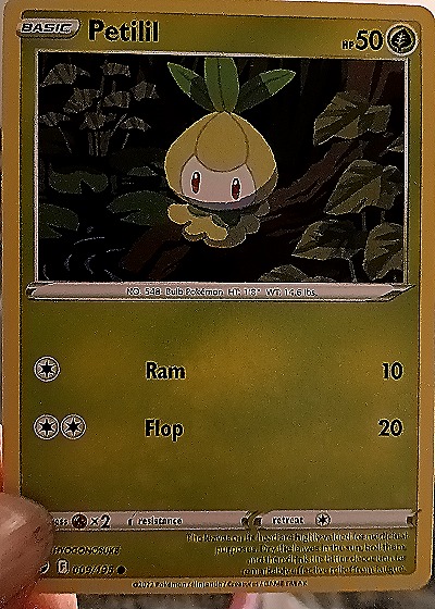 2022 Pokémon SWSH12: Silver Tempest #009 Petilil — front