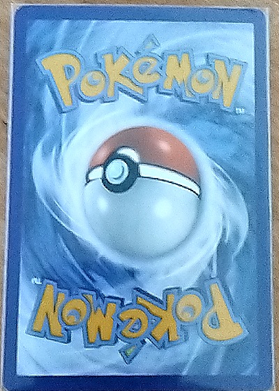 2021 Pokémon SWSH Rillaboom 197/189 — back