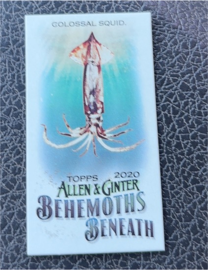 2020 Topps Allen & Ginter Behemoths Beneath #MGB-1 Colossal Squid — front