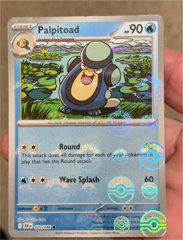 2025 Pokémon Scarlet & Violet Black Bolt #020 Palpitoad — front