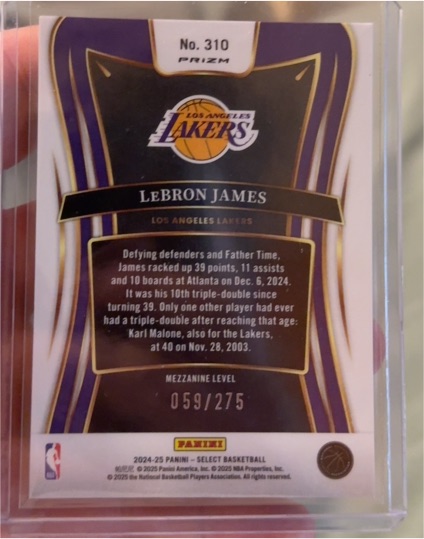2024-25 Panini Select #310 LeBron James — front